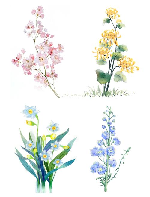 水墨朱颜 探幽古风水彩花卉的艺术清韵