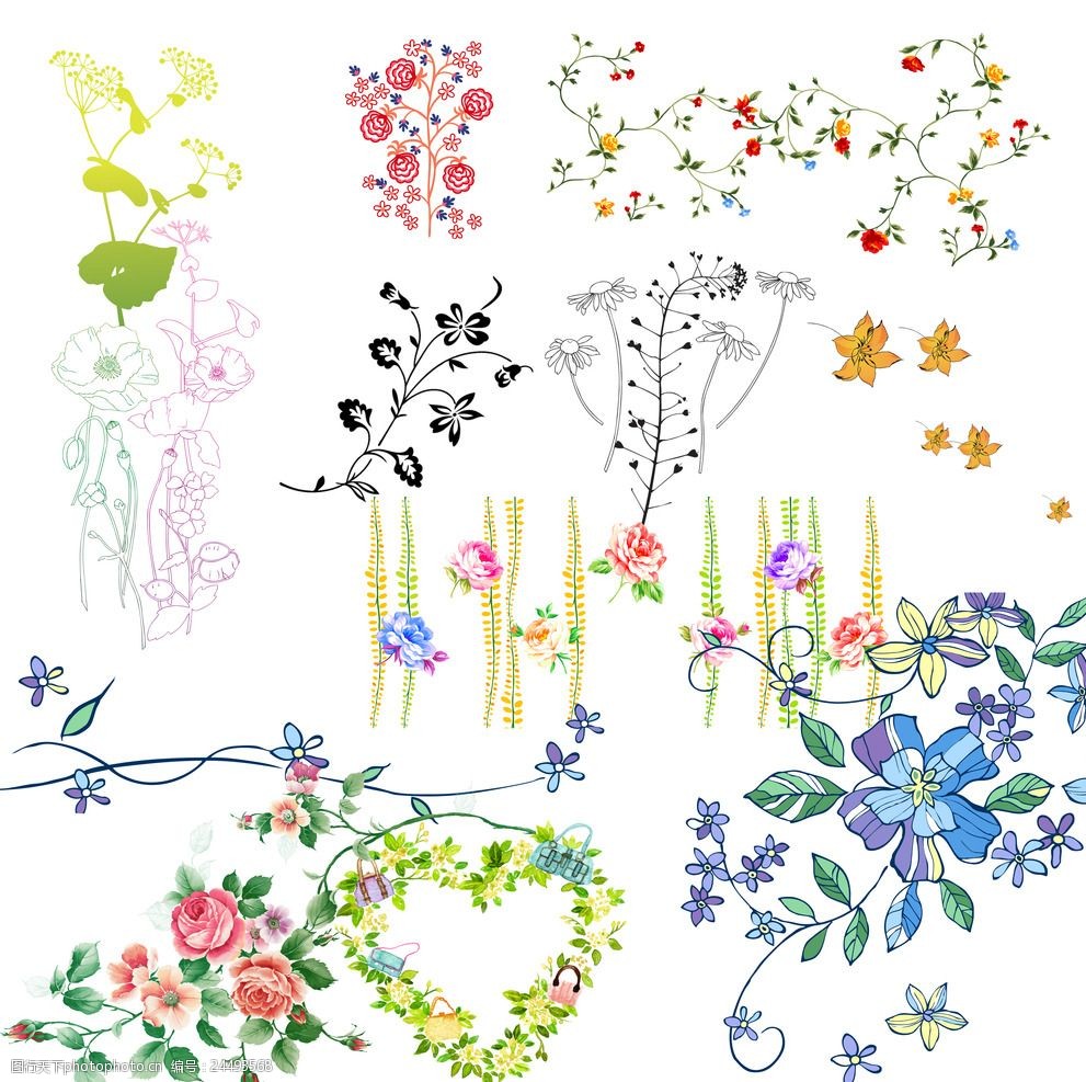 各种花卉素材
